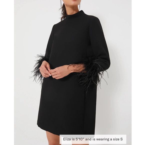TUCKERNUCK Black Feather Mod Ellie Dress - Picture 1 of 11